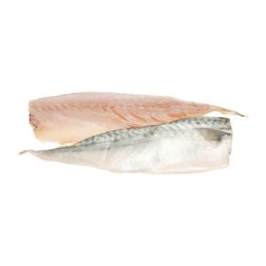 Makreel filet